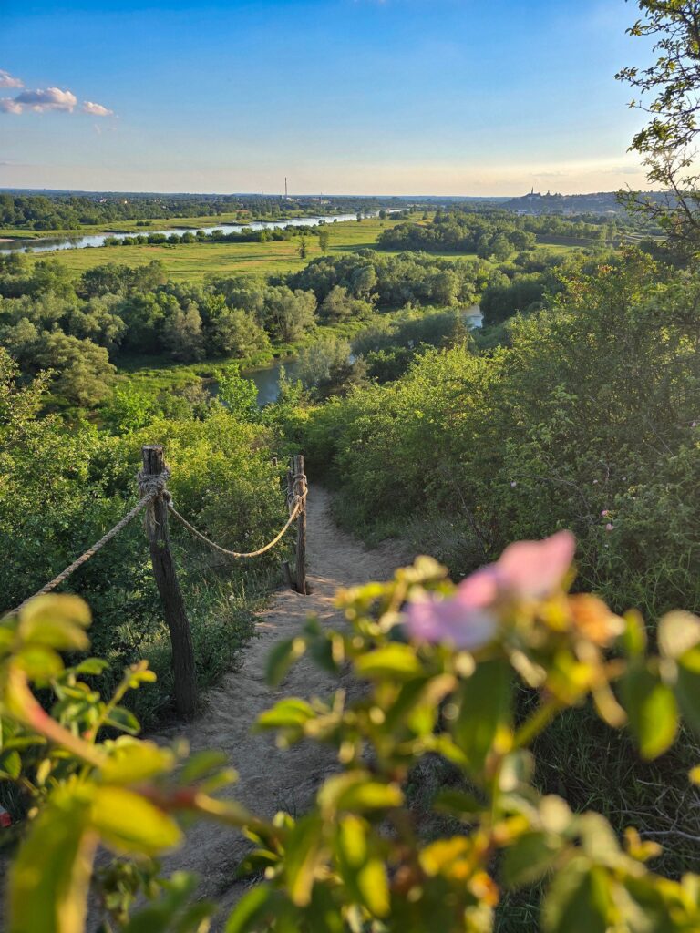 Góry Pieprzowe